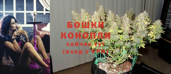 спайс Богородицк