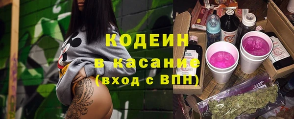 ПСИЛОЦИБИНОВЫЕ ГРИБЫ Богданович