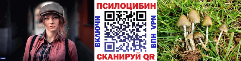 Псилоцибиновые грибы мухоморы  Купить где  Кувандык 
